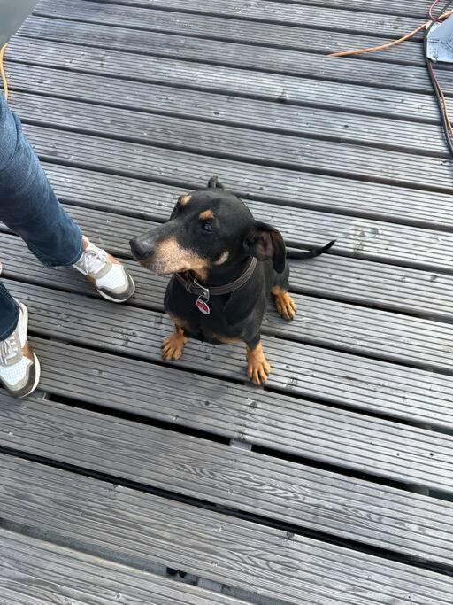 Apartament Premium Hausboot Trave Traum Lubeka Zewnętrze zdjęcie
